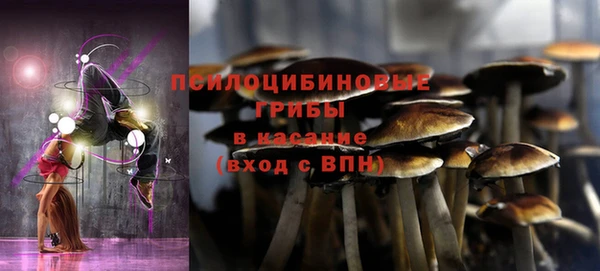 прущая мука Баксан