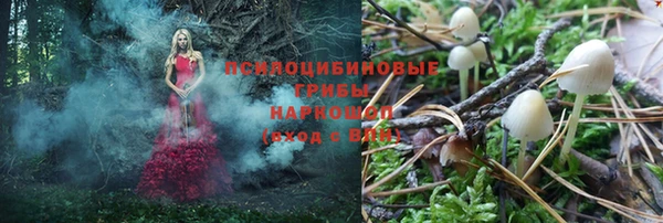 дмт Балабаново