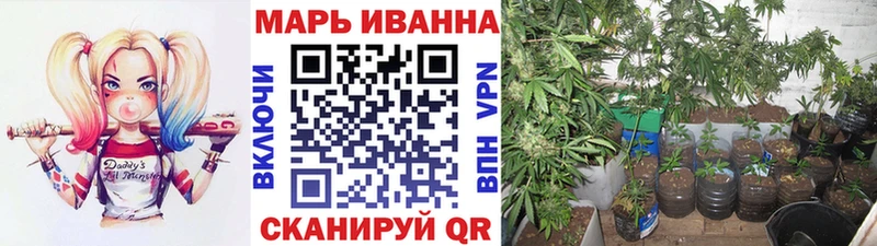 Конопля White Widow  Западная Двина 